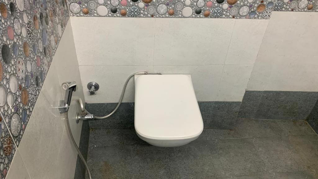 Ashoka Ganages Hotel 3*
